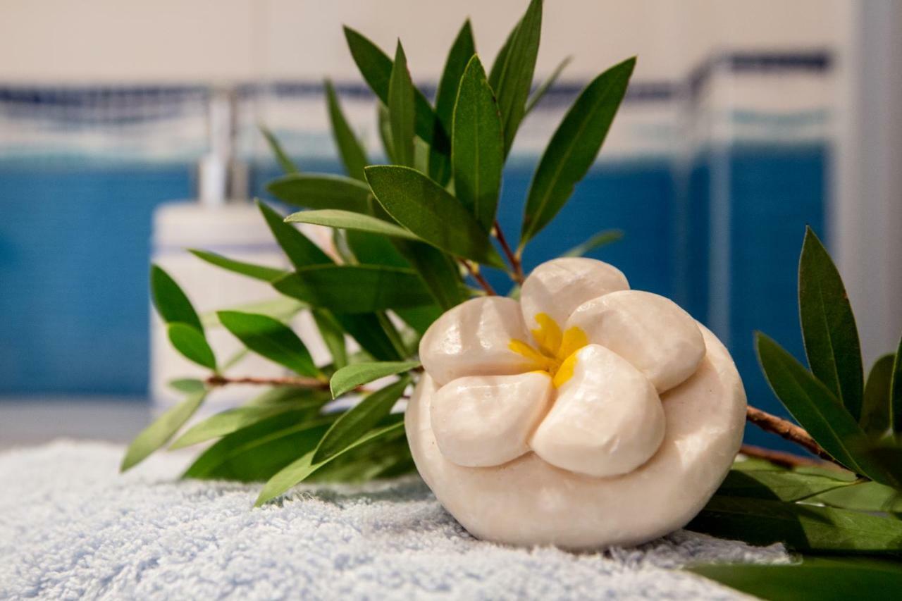 Calliope Corfu Apartment *